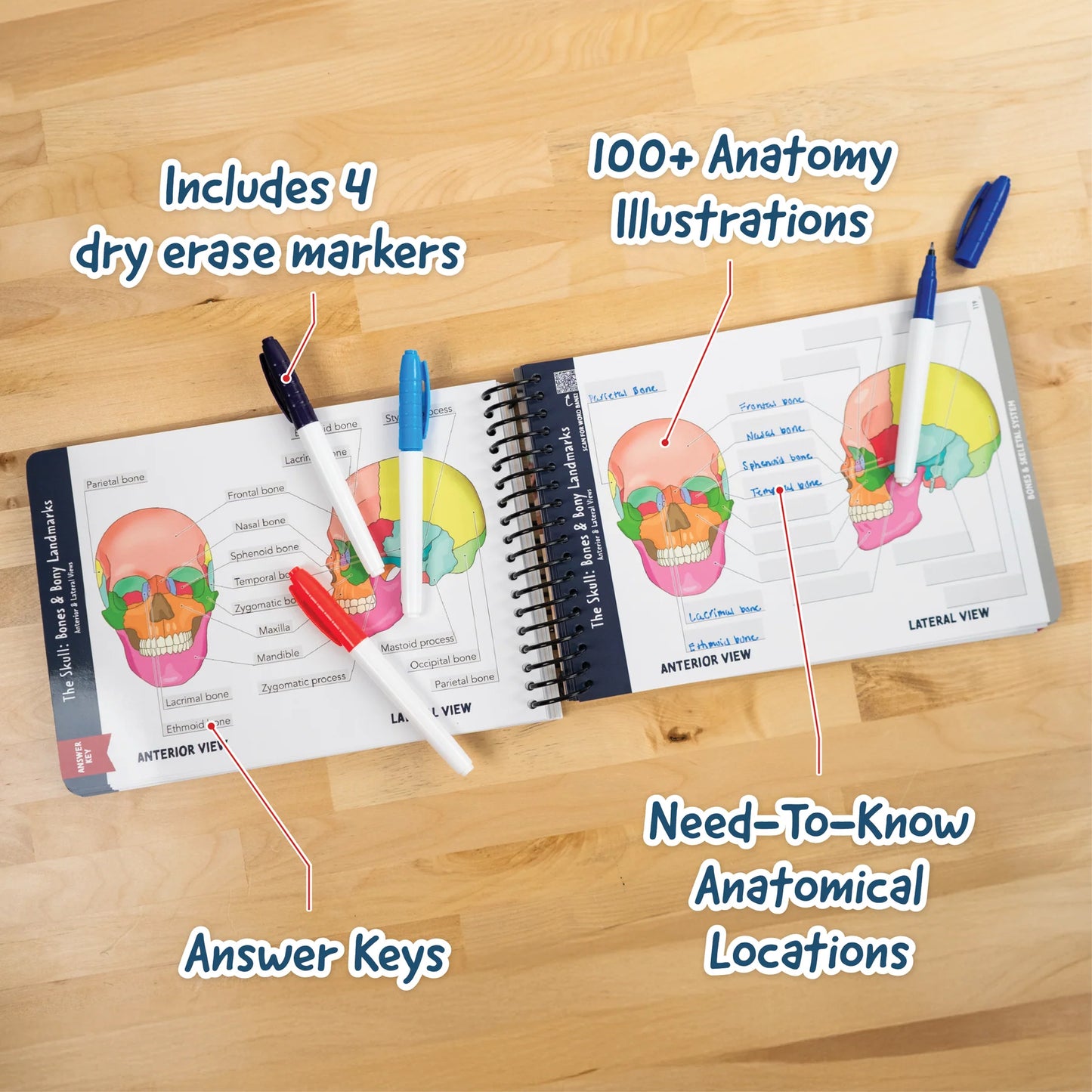 Anatomy Label Lab Workbook™