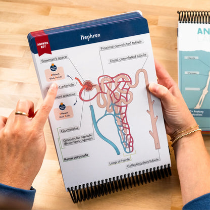 Anatomy Label Lab Workbook™